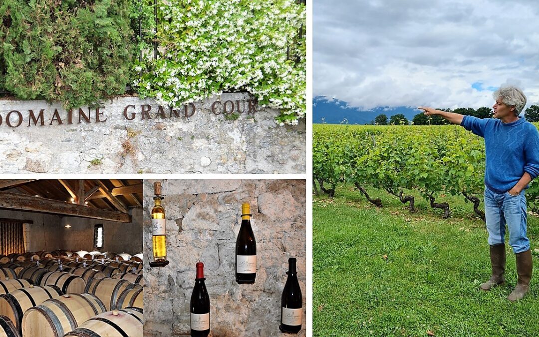 Sur les hauteurs de Genève coule l’un des meilleurs vins de Suisse