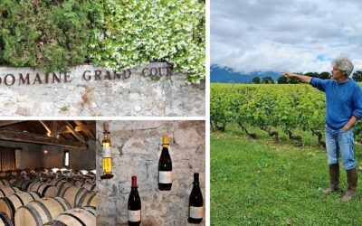 Sur les hauteurs de Genève coule l’un des meilleurs vins de Suisse